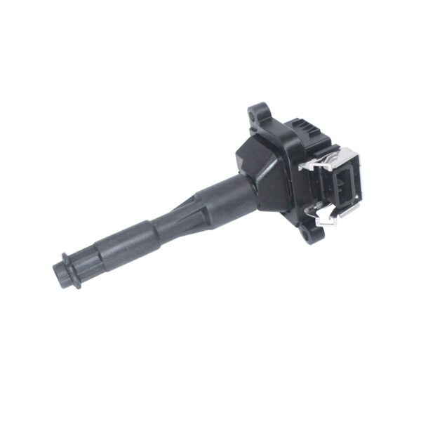 Ignition Coil Car Parts 0221504004 for Bmw E31 E36 E39 E46 E52 E53 0221504029 12131703825 12139067830 12131703227 12131703228